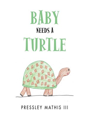 cover image of Baby Needs a Turtle